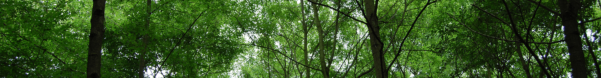 banner-bomen